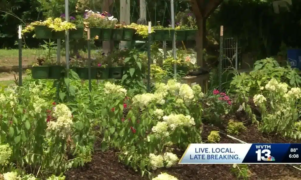 Fountain Heights Farm Cooperative breaks ground on new community market