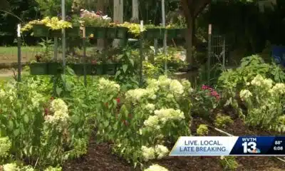 Fountain Heights Farm Cooperative breaks ground on new community market