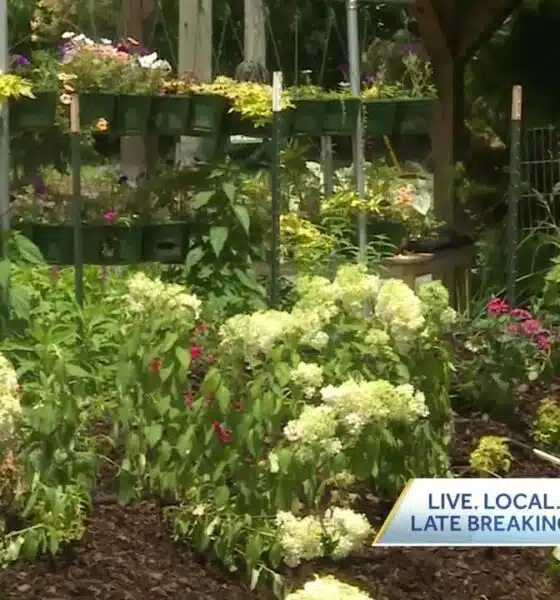 Fountain Heights Farm Cooperative breaks ground on new community market