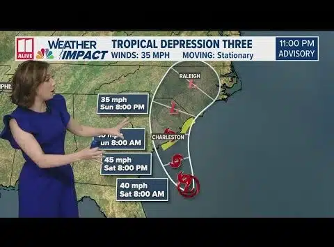 Tropical Depression Three 11pm track, models | When could it become 'Chantal'?