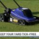 Tick season is worse than ever. Here's how to keep your yard tick-free this summer | NBC4 Washington