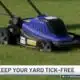 Tick season is worse than ever. Here's how to keep your yard tick-free this summer | NBC4 Washington