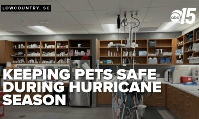 Keep your pets safe during hurricane season: experts share advice on go-bags and safe spaces
