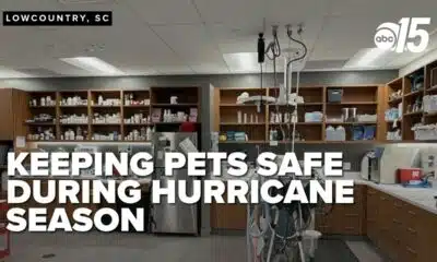 Keep your pets safe during hurricane season: experts share advice on go-bags and safe spaces