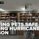 Keep your pets safe during hurricane season: experts share advice on go-bags and safe spaces
