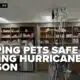 Keep your pets safe during hurricane season: experts share advice on go-bags and safe spaces