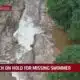 Search on hold for missing swimmer