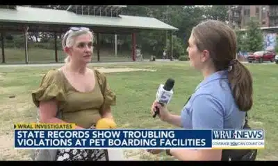 Dog fight, pets dying, staff high on drugs: WRAL Investigates violations at pet boarding facilities