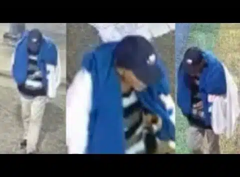 Video shows 68-year-old woman attacked while sleeping on bench in Cooper-Young