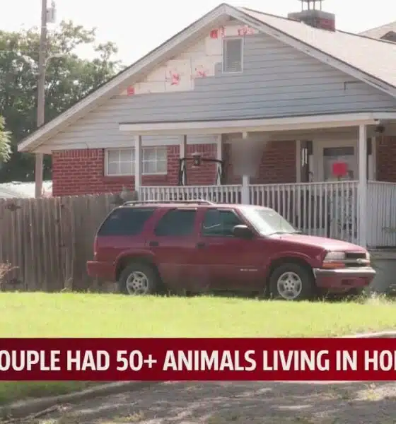 Police say couple had 50+ animals living in home