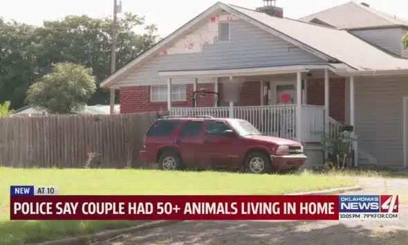Police say couple had 50+ animals living in home