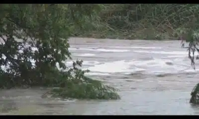 Harris County flood control official surveys Texas flood damage