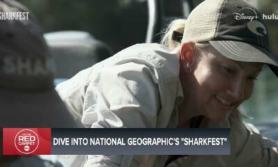 Sharkfest 2025 is here! Sharks Gone Viral
