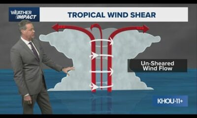 Tropical update: How wind shear could play a role in possible Gulf development