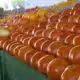 Tariffs on tomatoes send some shoppers to farmers market