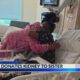 Act of Sisterly Love: Younger Sister Donates Kidney to Older Sister | July 15 2025 | News 19 at 10 p