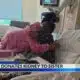 Act of Sisterly Love: Younger Sister Donates Kidney to Older Sister | July 15 2025 | News 19 at 10 p