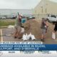 Sandbag locations open ahead of tropical weather