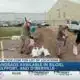 Sandbag locations open ahead of tropical weather