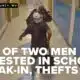Arrest made in school break-in, theft; another suspect still on the loose