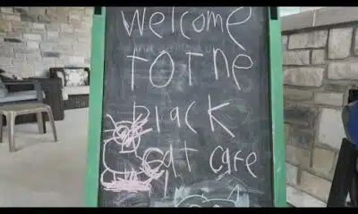 Black Cat Coffee Café is empowering young workers of all abilities