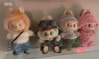 BBB issues warning about counterfeit Labubu dolls; how to spot a fake