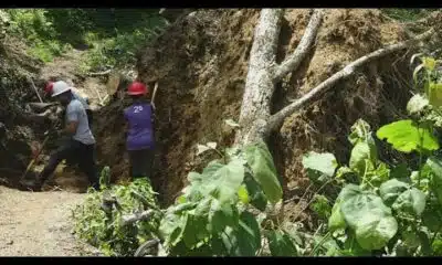 Appalachian trail mostly reopen after months of recovery for Helene