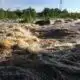 After Hopewell water plant released raw sewage, state officials outline health, environmental impact