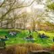 Apple returns to campus through focused UNC System program | North Carolina