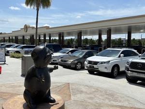 Florida gas prices nearly 40 cents less than last year | Florida