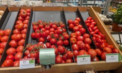 Florida lawmakers cheer end of U.S. Mexico agreement on tomato imports – but will it raise prices?