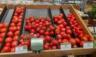 Florida lawmakers cheer end of U.S. Mexico agreement on tomato imports – but will it raise prices?