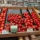 Florida lawmakers cheer end of U.S. Mexico agreement on tomato imports – but will it raise prices?