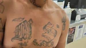 From Maine to Texas, federal agents continue to arrest MS-13 gang members | National