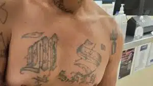 From Maine to Texas, federal agents continue to arrest MS-13 gang members | National
