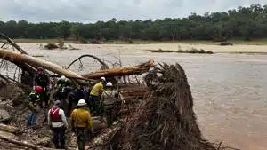 Personnel from 20 Texas agencies involved in recovery efforts | Texas