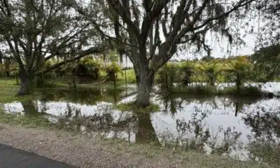 Powerful Florida developer hears a rare response from Manatee County: No!