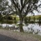 Powerful Florida developer hears a rare response from Manatee County: No!