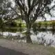Powerful Florida developer hears a rare response from Manatee County: No!
