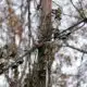 Report pans city's role in Holly Springs utility issues