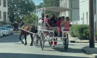 Savannah Council to weigh horse carriage heat limits