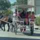 Savannah Council to weigh horse carriage heat limits