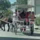 Savannah Council to weigh horse carriage heat limits