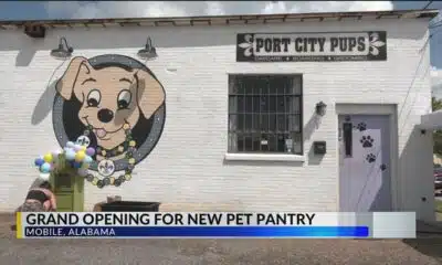 Mobile nonprofit opens pantry for pet owners in need