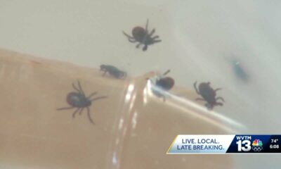 Tick bites on the rise across the country