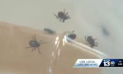 Tick bites on the rise across the country