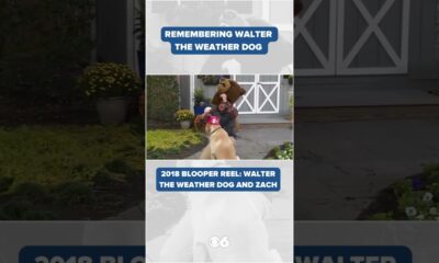 Remembering Walter the Weather Dog: 2018 Bloopers