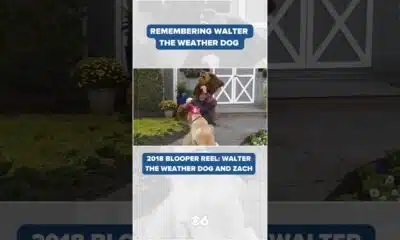 Remembering Walter the Weather Dog: 2018 Bloopers