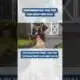 Remembering Walter the Weather Dog: 2018 Bloopers