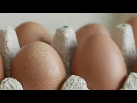 Here's what you can do to get enough protein in your diet